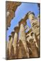 Columns in the Great Hypostyle Hall, Karnak Temple, Luxor, Thebes, Egypt, North Africa, Africa-Richard Maschmeyer-Mounted Photographic Print