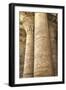 Columns in the Hypostyle Hall, Temple of Horus, Edfu, Egypt, North Africa, Africa-Richard Maschmeyer-Framed Photographic Print