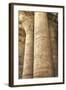 Columns in the Hypostyle Hall, Temple of Horus, Edfu, Egypt, North Africa, Africa-Richard Maschmeyer-Framed Photographic Print