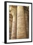 Columns in the Hypostyle Hall, Temple of Horus, Edfu, Egypt, North Africa, Africa-Richard Maschmeyer-Framed Photographic Print