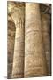 Columns in the Hypostyle Hall, Temple of Horus, Edfu, Egypt, North Africa, Africa-Richard Maschmeyer-Mounted Photographic Print