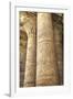 Columns in the Hypostyle Hall, Temple of Horus, Edfu, Egypt, North Africa, Africa-Richard Maschmeyer-Framed Photographic Print