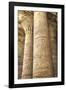 Columns in the Hypostyle Hall, Temple of Horus, Edfu, Egypt, North Africa, Africa-Richard Maschmeyer-Framed Photographic Print