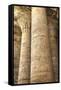 Columns in the Hypostyle Hall, Temple of Horus, Edfu, Egypt, North Africa, Africa-Richard Maschmeyer-Framed Stretched Canvas