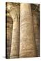 Columns in the Hypostyle Hall, Temple of Horus, Edfu, Egypt, North Africa, Africa-Richard Maschmeyer-Stretched Canvas