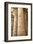 Columns in the Hypostyle Hall, Temple of Horus, Edfu, Egypt, North Africa, Africa-Richard Maschmeyer-Framed Photographic Print