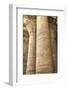 Columns in the Hypostyle Hall, Temple of Horus, Edfu, Egypt, North Africa, Africa-Richard Maschmeyer-Framed Photographic Print