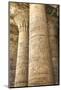 Columns in the Hypostyle Hall, Temple of Horus, Edfu, Egypt, North Africa, Africa-Richard Maschmeyer-Mounted Photographic Print