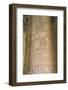 Columns in the Hypostyle Hall, Temple of Horus, Edfu, Egypt, North Africa, Africa-Richard Maschmeyer-Framed Photographic Print