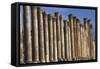 Columns of Cardo Maximus St. Jerash, Jordan-Claudia Adams-Framed Stretched Canvas