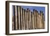 Columns of Cardo Maximus St. Jerash, Jordan-Claudia Adams-Framed Photographic Print