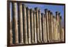 Columns of Cardo Maximus St. Jerash, Jordan-Claudia Adams-Framed Photographic Print