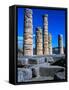 Columns of Temple of Apollo-Perry Mastrovito-Framed Stretched Canvas