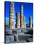 Columns of Temple of Apollo-Perry Mastrovito-Stretched Canvas