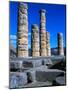 Columns of Temple of Apollo-Perry Mastrovito-Mounted Photographic Print