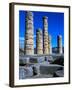 Columns of Temple of Apollo-Perry Mastrovito-Framed Photographic Print