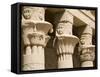 Columns of the Temple of Philae, UNESCO World Heritage Site, Nubia, Egypt, North Africa, Africa-Olivieri Oliviero-Framed Stretched Canvas