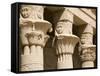 Columns of the Temple of Philae, UNESCO World Heritage Site, Nubia, Egypt, North Africa, Africa-Olivieri Oliviero-Framed Stretched Canvas