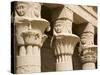 Columns of the Temple of Philae, UNESCO World Heritage Site, Nubia, Egypt, North Africa, Africa-Olivieri Oliviero-Stretched Canvas