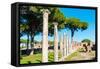 Columns of Theater, Ostia Antica archaeological site, Ostia, Rome province, Latium (Lazio), Italy-Nico Tondini-Framed Stretched Canvas