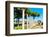 Columns of Theater, Ostia Antica archaeological site, Ostia, Rome province, Latium (Lazio), Italy-Nico Tondini-Framed Photographic Print