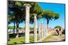Columns of Theater, Ostia Antica archaeological site, Ostia, Rome province, Latium (Lazio), Italy-Nico Tondini-Mounted Photographic Print