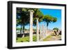 Columns of Theater, Ostia Antica archaeological site, Ostia, Rome province, Latium (Lazio), Italy-Nico Tondini-Framed Photographic Print