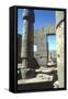 Columns, Temple of Amun, Karnak, Egypt-CM Dixon-Framed Stretched Canvas