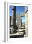 Columns, Temple of Amun, Karnak, Egypt-CM Dixon-Framed Premium Photographic Print