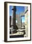 Columns, Temple of Amun, Karnak, Egypt-CM Dixon-Framed Photographic Print