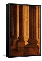 Columns-null-Framed Stretched Canvas