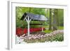 Colurful Day-inlove-Framed Photographic Print