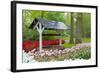 Colurful Day-inlove-Framed Photographic Print