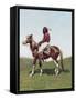 Comanche Brave, Fort Reno, Indian Territory-Frederic Remington-Framed Stretched Canvas