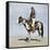 Comanche Brave on Horseback, 1800s-null-Framed Stretched Canvas