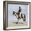 Comanche Brave on Horseback, 1800s-null-Framed Giclee Print