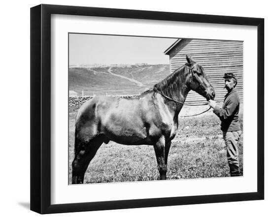 Premium Photographic Print, , large