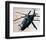 Comanche reconnaissance helicopter-null-Framed Art Print