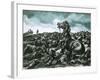 Comanche, the Lone Survivor of Custer's Last Stand-Ron Embleton-Framed Giclee Print