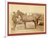 Comanche-John C. H. Grabill-Framed Giclee Print