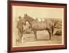 Comanche-John C. H. Grabill-Framed Giclee Print