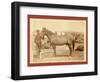 Comanche-John C. H. Grabill-Framed Giclee Print