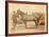 Comanche-John C. H. Grabill-Framed Stretched Canvas