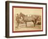 Comanche-John C. H. Grabill-Framed Giclee Print