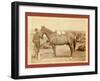 Comanche-John C. H. Grabill-Framed Giclee Print