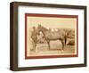 Comanche-John C. H. Grabill-Framed Premium Giclee Print