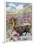 Combat Between a Lion and a Bull, Spain, 1894-null-Framed Giclee Print