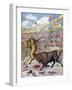 Combat Between a Lion and a Bull, Spain, 1894-null-Framed Giclee Print