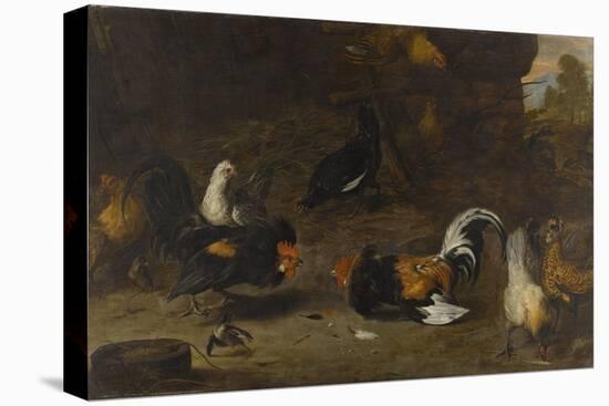 Combat de coqs-Melchior de Hondecoeter-Stretched Canvas