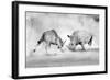 Combat-null-Framed Art Print